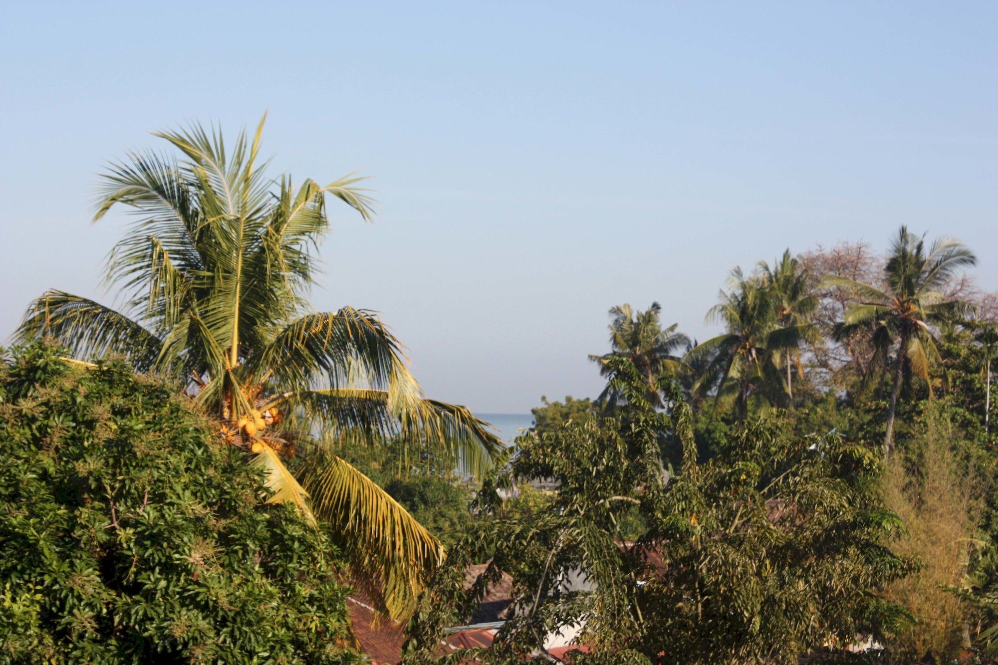 Rambutan Hotel Lovina  Exterior photo